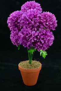 Purple Carnation-Mum Bush x7  (Lot of 1) SALE ITEM